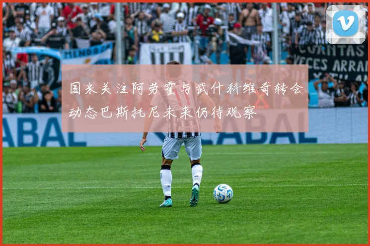 国米关注阿劳霍与武什科维奇转会动态巴斯托尼未来仍待观察